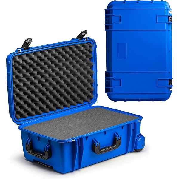 Amazon.com: Seahorse 920 Heavy Duty Protective Dry Box Case With